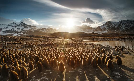 Il faut multiplier les financements pour la nature par deux d'ici à 2025, réclame le PNUE
